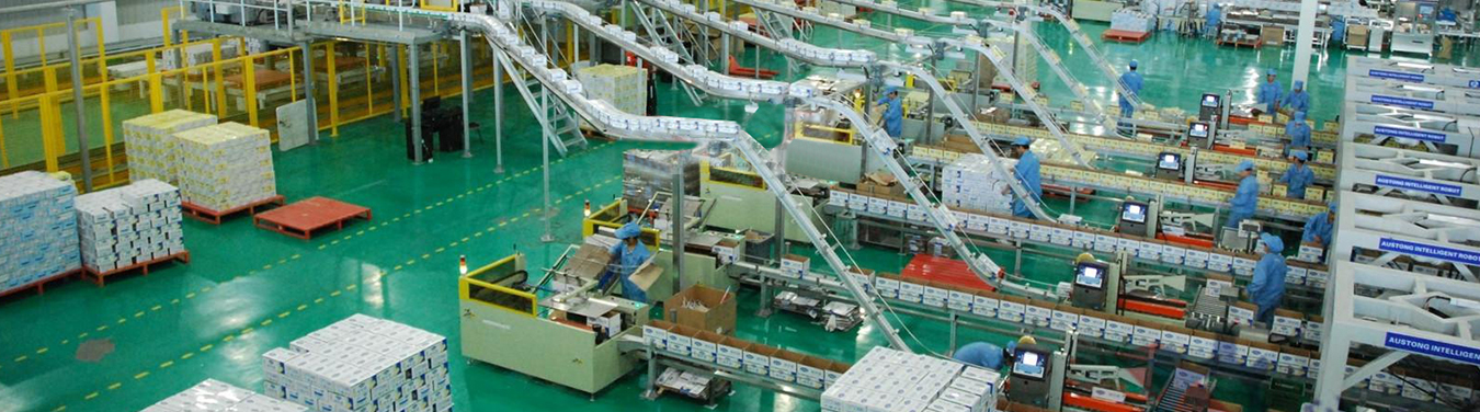 包装机械解决方案